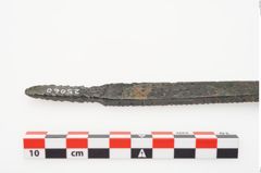 Foto von Bronzeraspel (NHMW-PRAE-025060)
